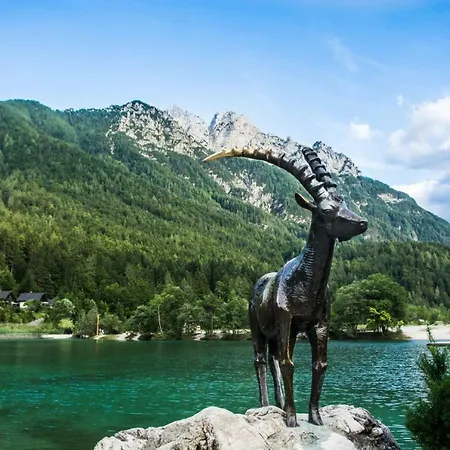 Vila Marjetica Kranjska Gora
