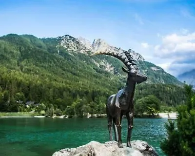 Vila Marjetica Vila Kranjska Gora